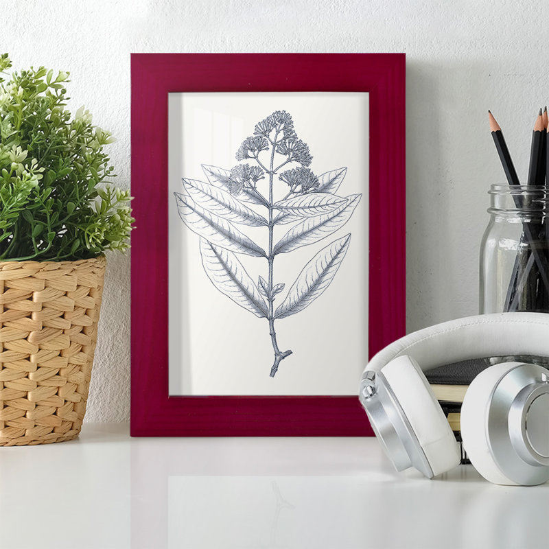 Indigo Botany Study I - impression d'un cadre photo, Rouge, H 6 po x l 4 po x P 1 po