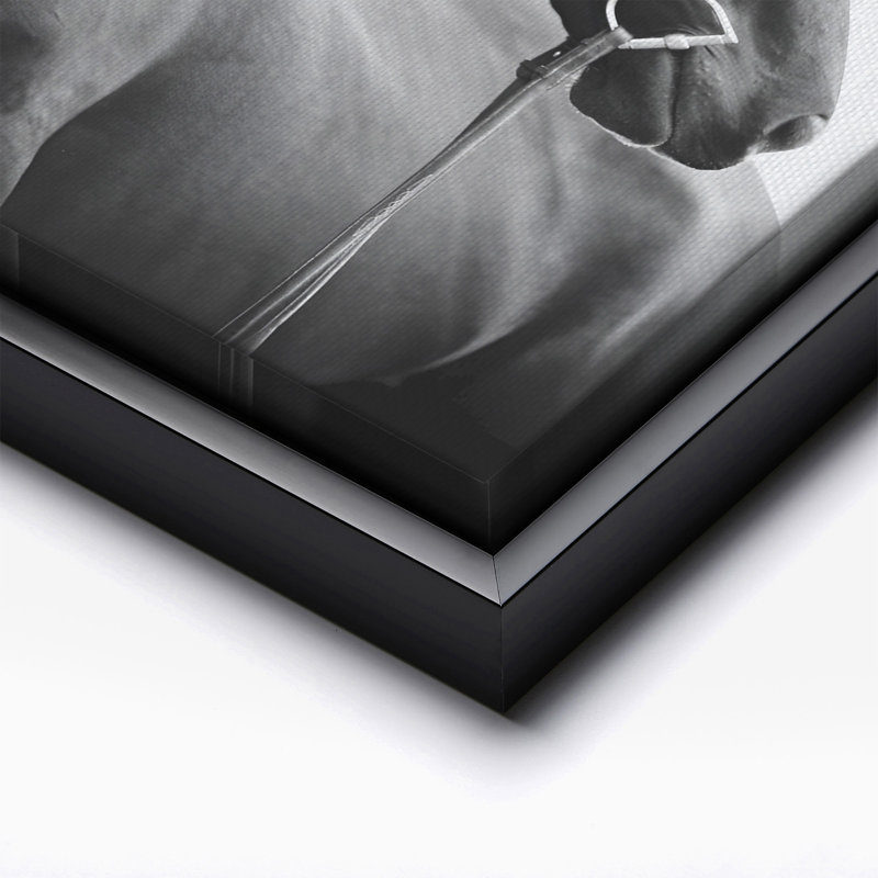 Portrait de cheval n ° 2, Black Framed, Canvas, 11"H x 14"W