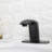 Single-Hole Bathroom Faucet-86981948-86982117