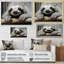 Paresseux doux - impressions sur toile-97035644-97035653