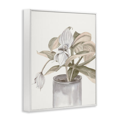 Potted Medinilla Magnifica Framed Giclee, design by Errico & Slyp