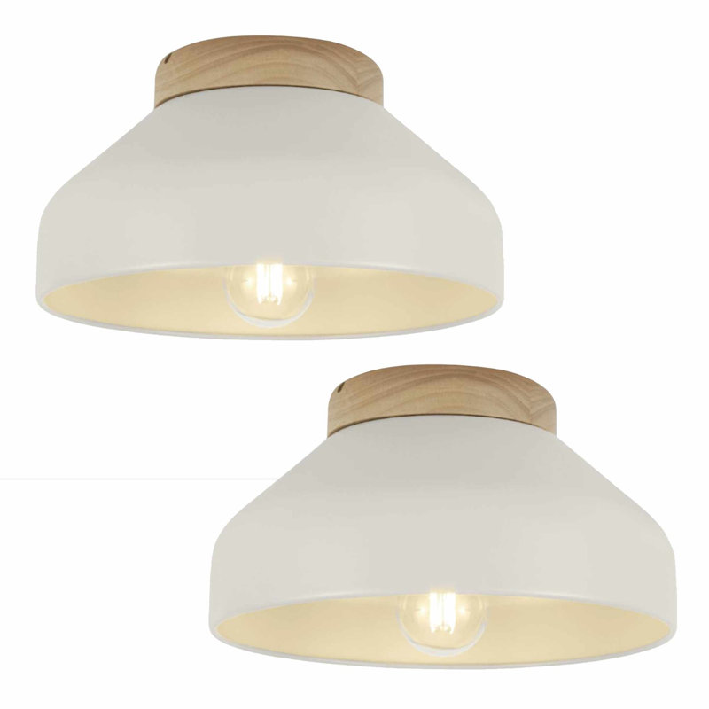 Maleeny Flush Mount, White