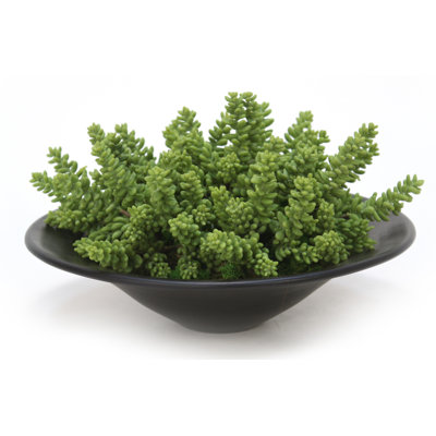 8'' Faux Succulent in Ceramic Planter