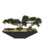 Faux Bonsai Tree in Metal Pot