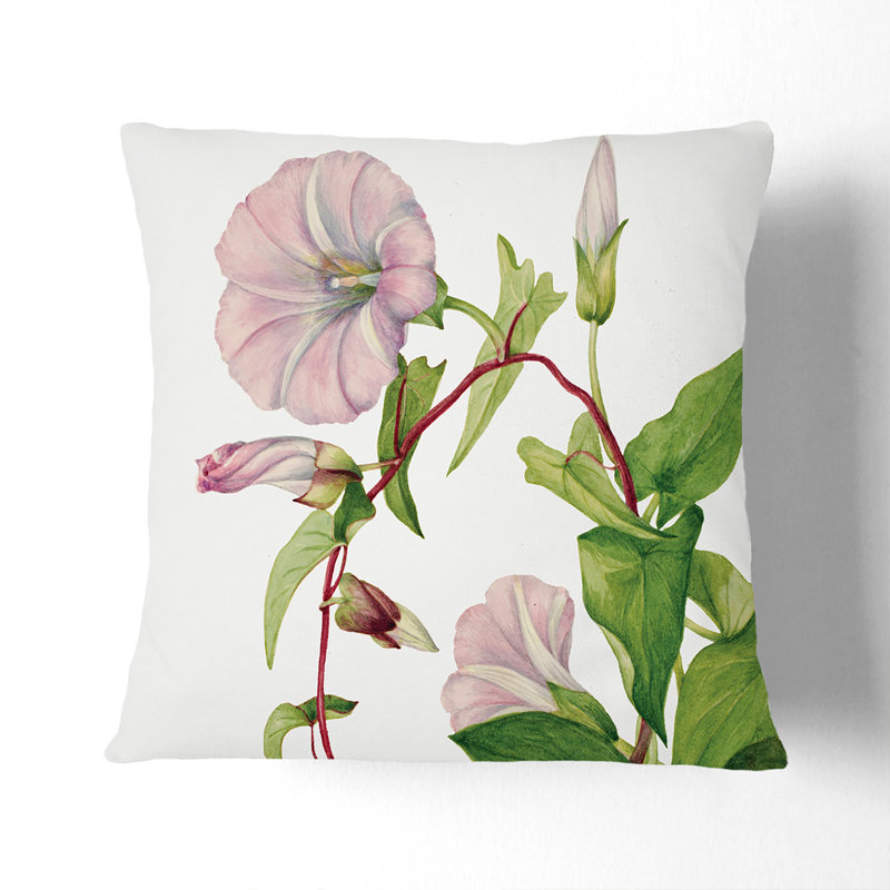Hedge Bindweed Square Throw Cushion, 55cm H x 55cm W x 20cm D