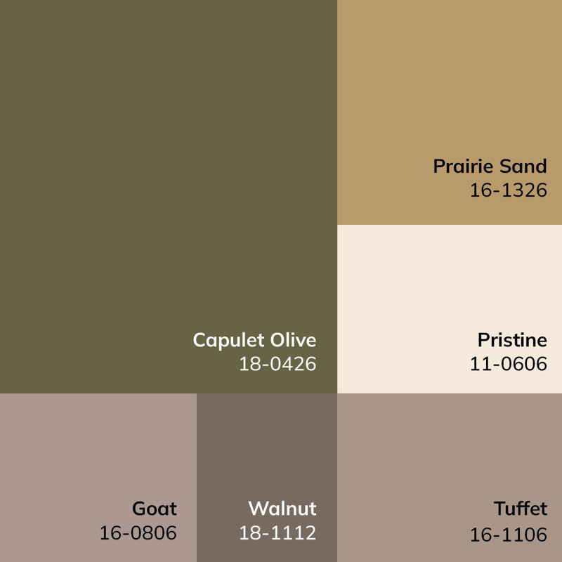 Myrtle Avenue Olive and Taupe Synthetic Rectangular Area Rug
