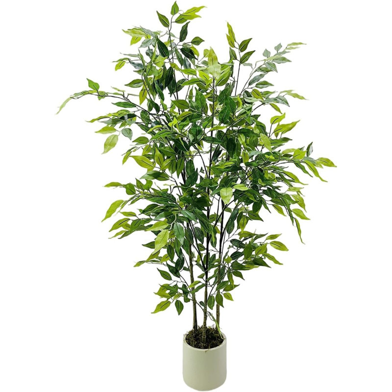 120cm Plant