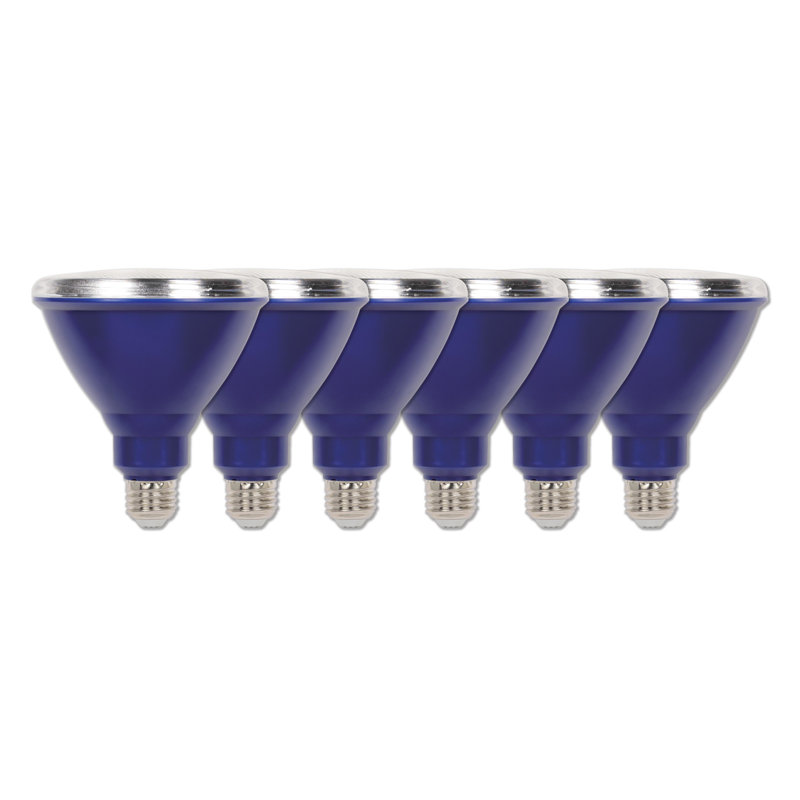 15 watts (équivalent à 100 watts), paquet de 6 DEL PAR38, ampoule, bleu E26 / base moyenne (standard)