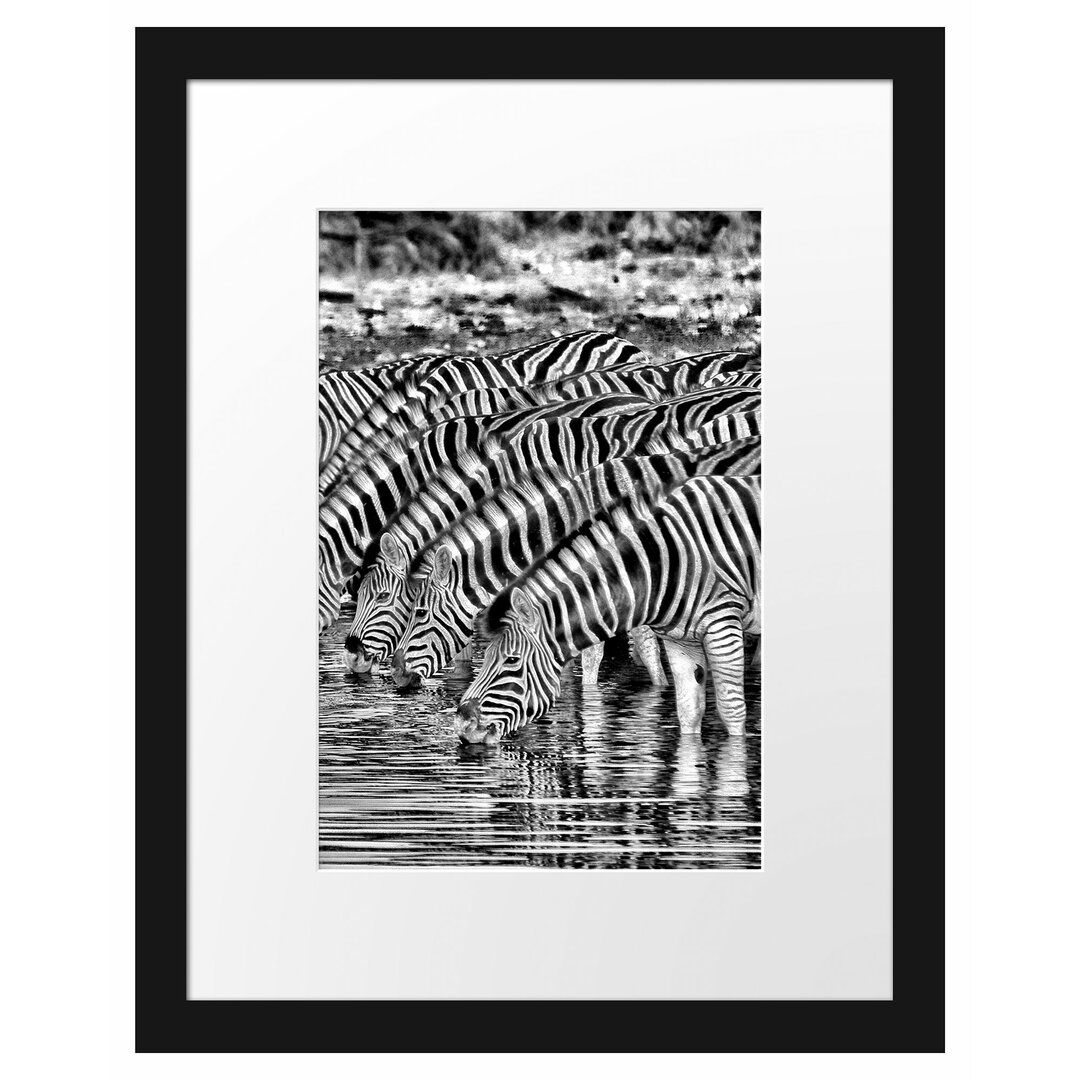 Gerahmtes Poster Safari mit Zebras in Afrika