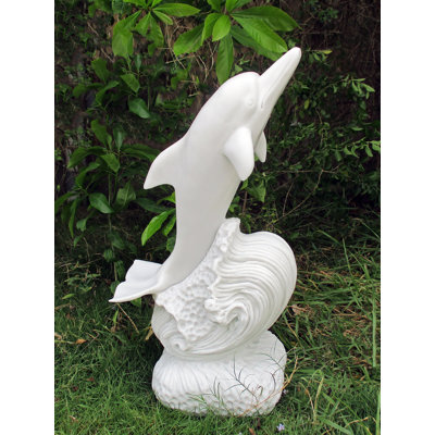  Dolphin