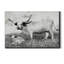Buttercup and Bluebonnet - Reproduction de photo sur toile tendue-2117194536