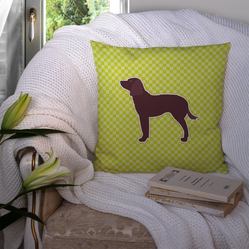 American Water Spaniel Indoor/Outdoor Throw Pillow, 14" H x 14" W x 3" D, Green