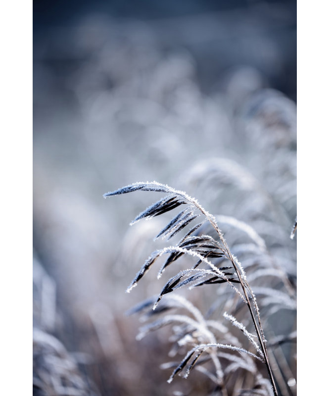 Wrapped Canvas Print, 91.44 cm H x 60.96 cm W