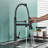 Augusts tanhaung-8 Pull Down Kitchen Faucet-80830389