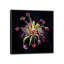 « bouquet xviii », impression sur toile-34983100-72449544-72449549