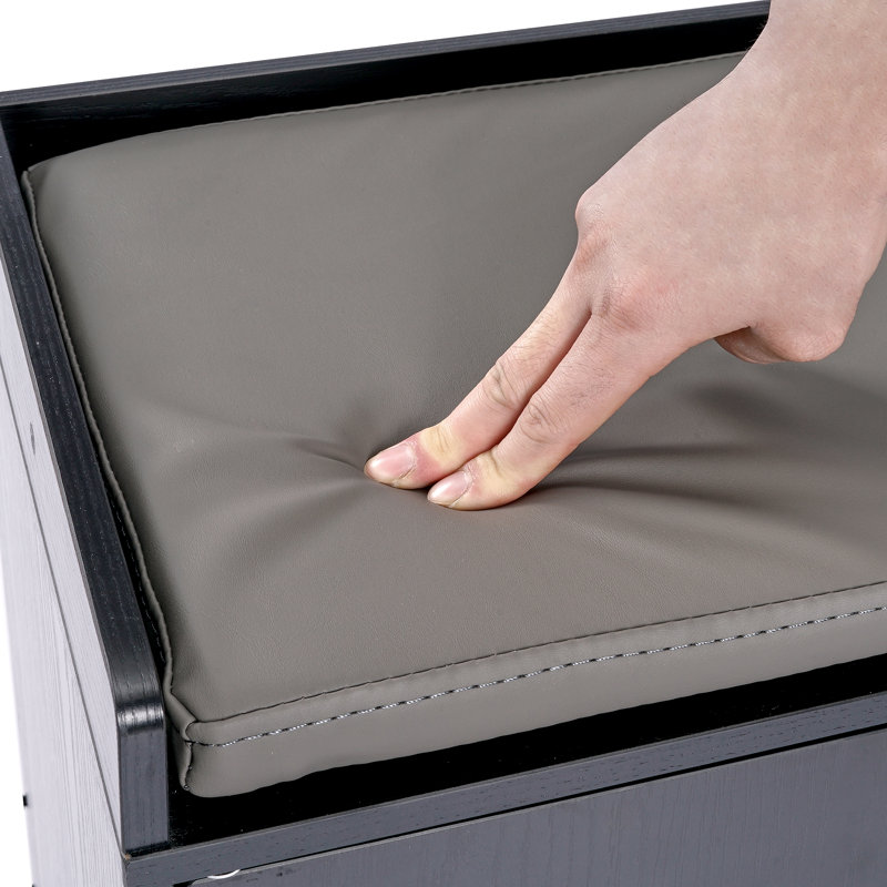 Banc de rangement pour chaussures Deandray, Noir