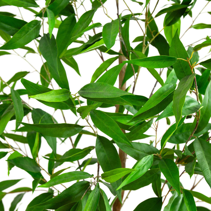 Arbre d'eucalyptus artificiel 84 po en doublure de pot