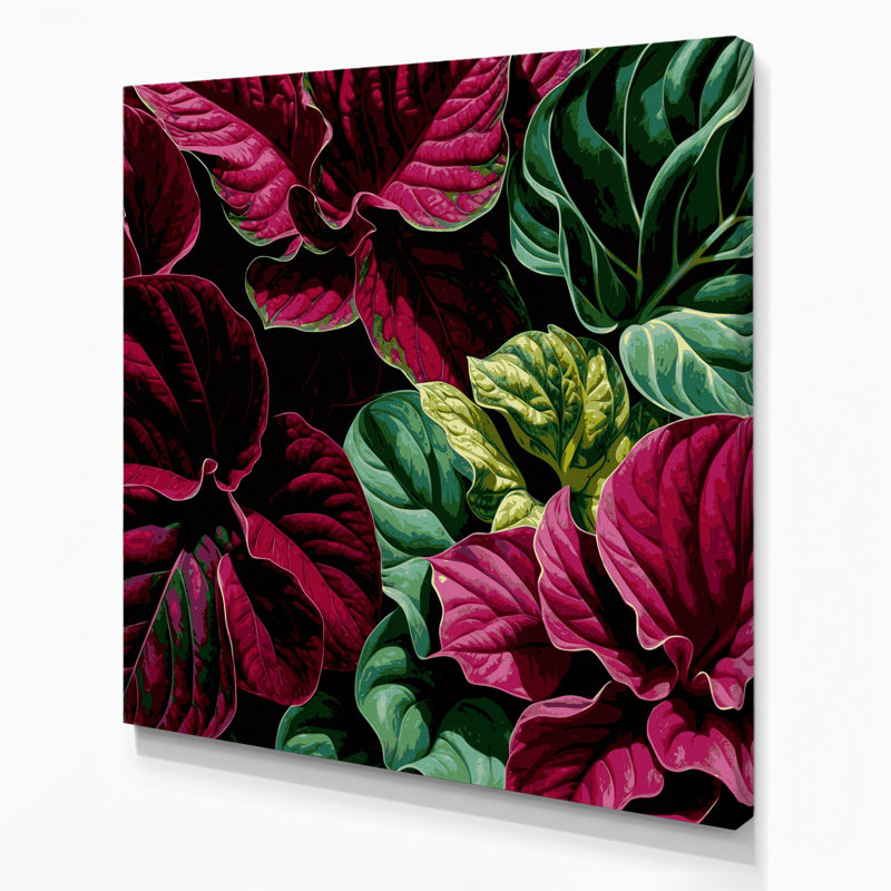Art mural sur toile Botanical Coleus, H 12 po x l 12 po