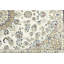 Tapis crème Marierose