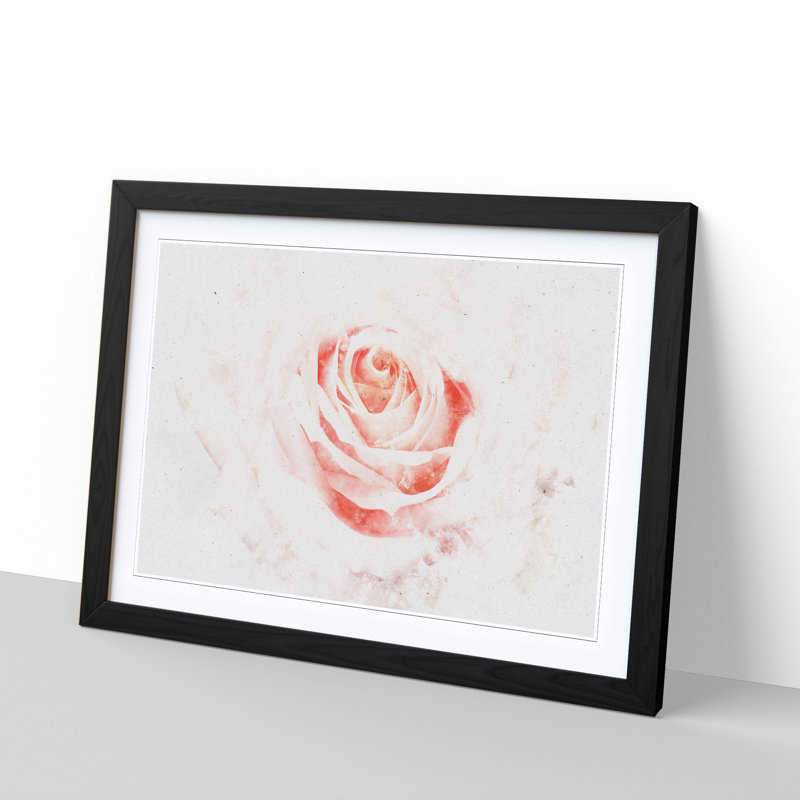 Pale Pink Rose - Framed Print, 45cm H x 63cm W x 2cm D, Black Framed