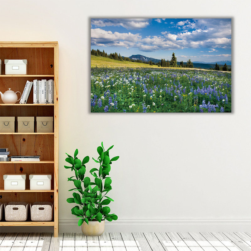 «Trophy Meadows», reproduction d'art sur toile, H 20 po x l 30 po