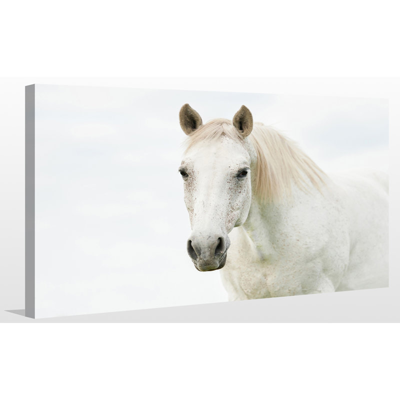 « white beauté », reproduction de photo sur toile tendue, H 36 po x l 60 po x P 1,5 po