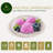 Compostable Disposable Paper Dessert Plates