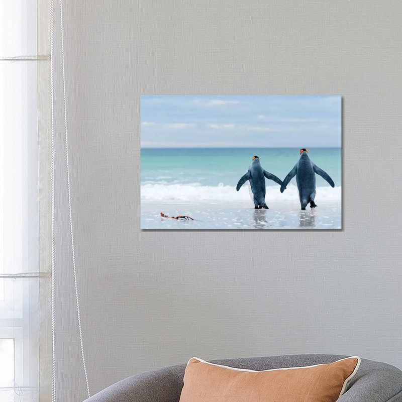 King Penguin Pair Entering Sea, Volunteer Beach, East Falkland Island, Falkland Islands by Tui De Roy - Wrapped Canvas Print