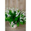 Anastasija Arrangement