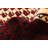 One-of-a-Kind 3'3" X 6'3" New Age Wool Area Rug in Cream