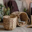 Panier en osier