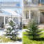 Faux Tree in Nursery Pot-134969714