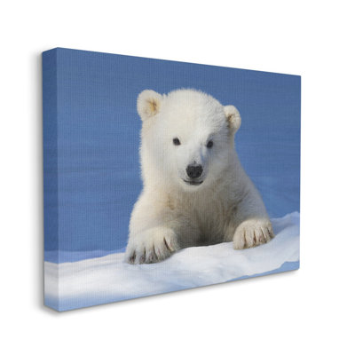 Bébé ours polaire regardant sur toile par Shane Lamb