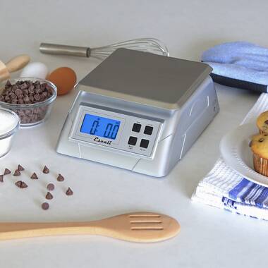 Taylor 3880 22 Pound Kitchen Food Scale: Kitchen Scales