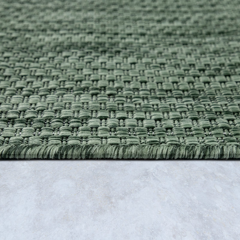 Iyana Machine Woven Indoor/Outdoor Area Rug, Rectangle 2' x 3'3", Green