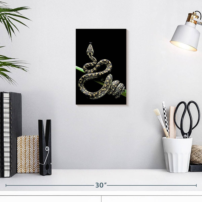 Poised Carpet Python, 12" H x 8" W