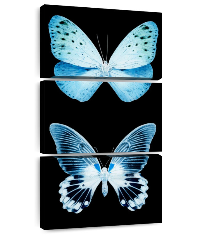 Miss Butterfly X-Ray - noir, H 27 po x l 12 po