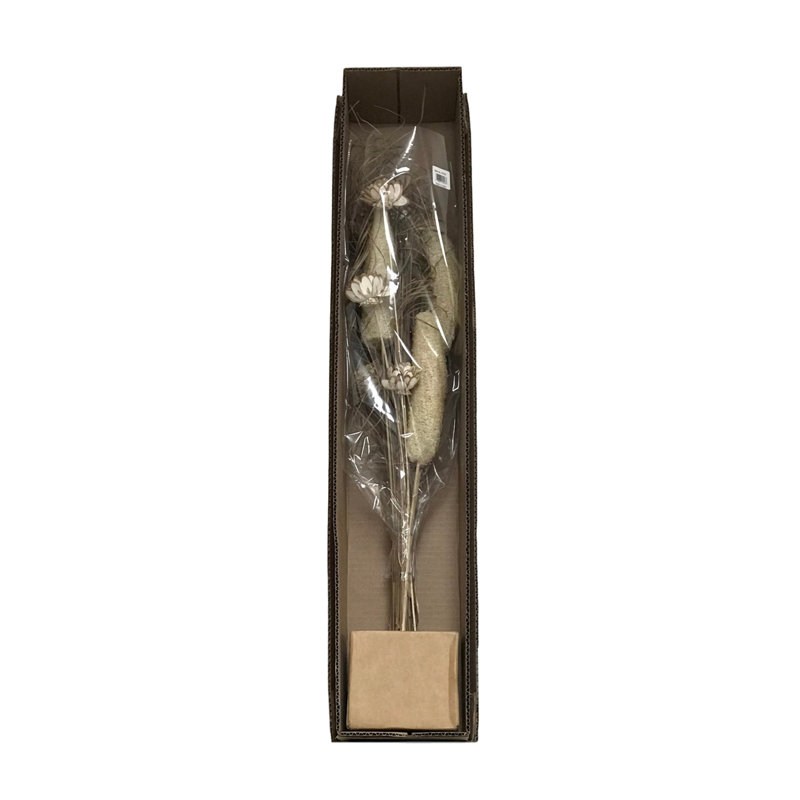 Branche de Luffa et tige d'amande, Naturel / crème