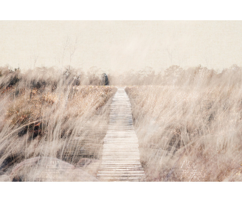 Wrapped Canvas Print, 50.8 cm H x 76.2 cm W