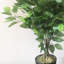 60cm Faux Tree in Pot Liner