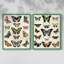 Impression encadrée Flutterbys I-Premium - prête à être accrochée - aucun clou requis - aucun clou requis-1080437608-1080437603