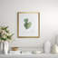 Antique American Linden Print by Linden