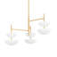 Evander Chandelier-227056965-227056966