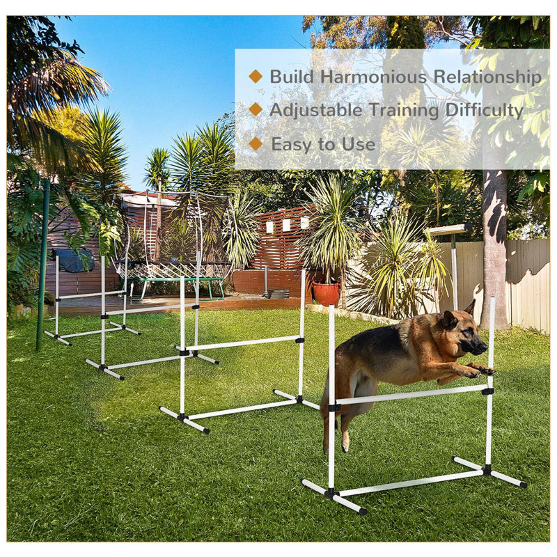 White Adjustable 4-Bar Dog Agility Training Set