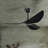 Duncan Modern 3 Bladed Ceiling Fan With Remote-1036745428-1036745431