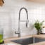 Belfry Kitchen Brackenridge Pull Out Kitchen Faucet