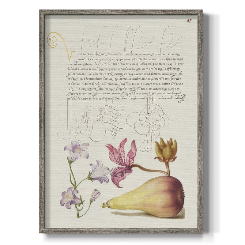 Reproduction encadrée de Hoefnagel, spéculations tropicales - bois massif, H 21 po x l 17 po