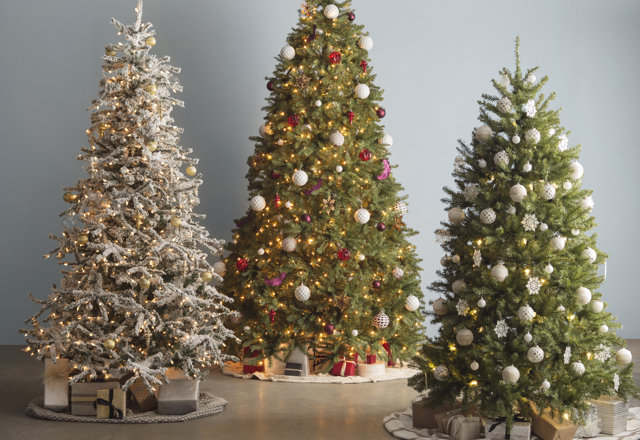 Unmissable Christmas Trees