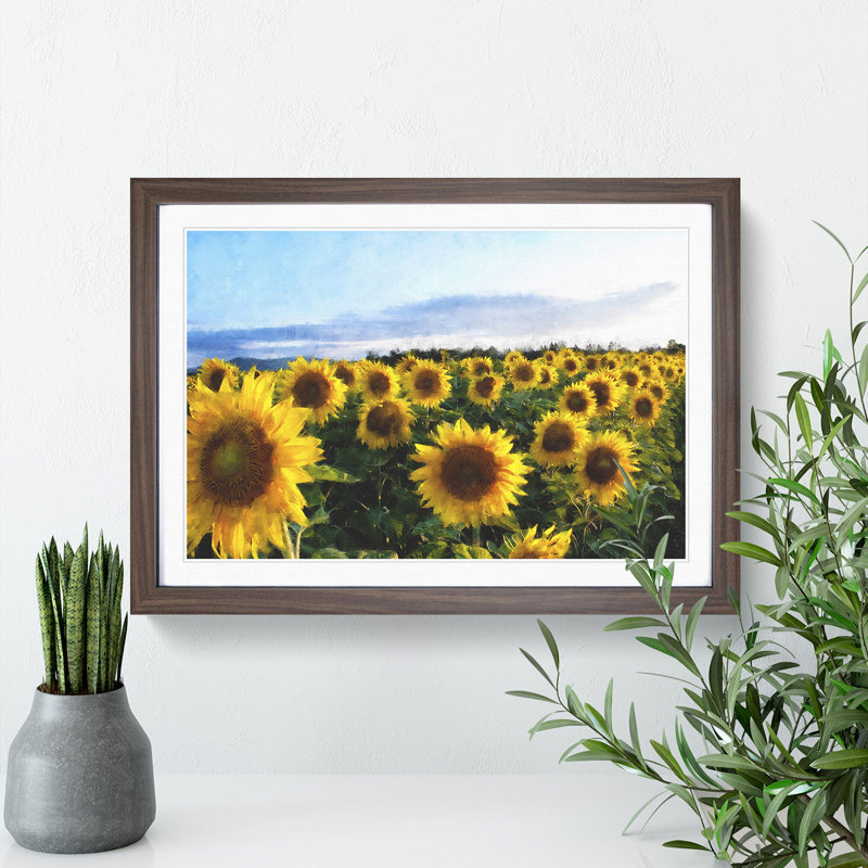 Sunflowers - Picture Frame Painting, Walnut Framed, 36cm H x 48cm W x 2cm D