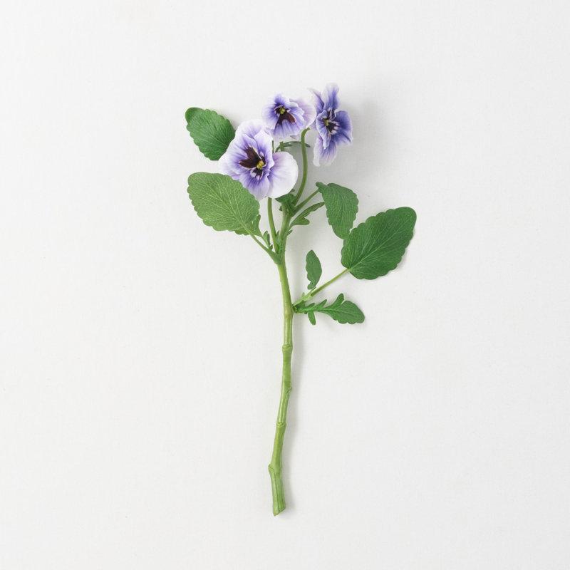 Mcnulty Pansy Arrangement, Light Purple